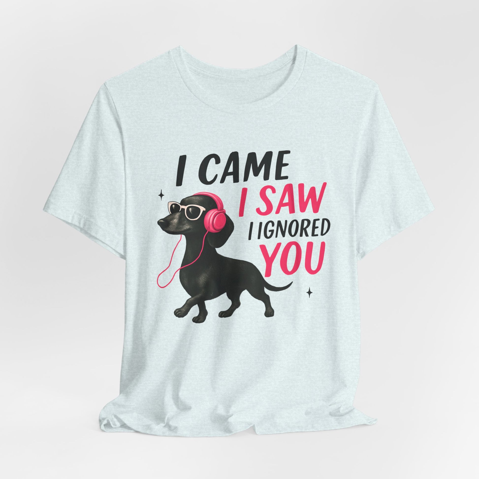 Cool Dog Lover Tee - I Came, I Saw, I Ignored You | Funny Pet Shirt, Gift for Dog Owners, Casual Wear, Birthday Gift, Animal Lover Apparel