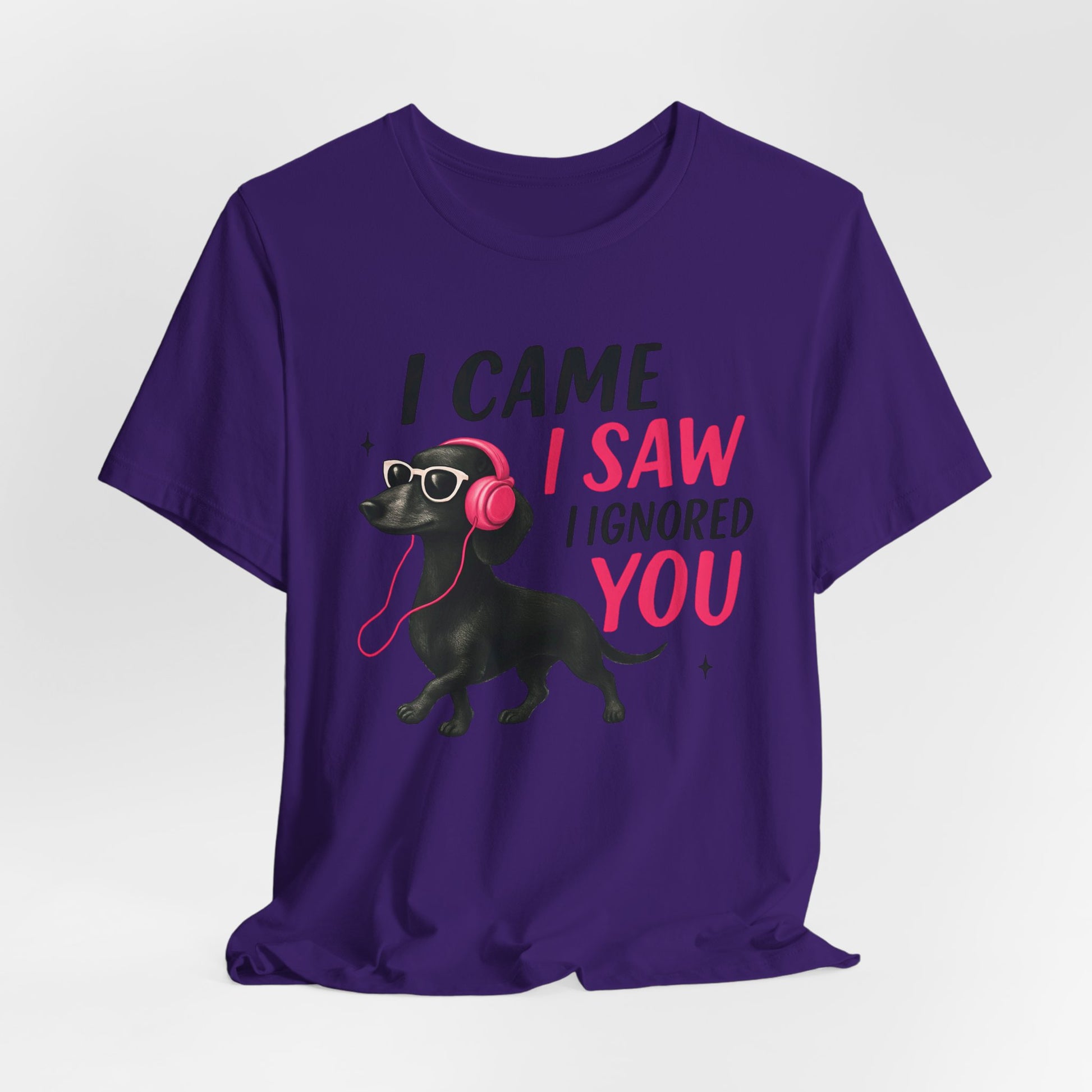 Cool Dog Lover Tee - I Came, I Saw, I Ignored You | Funny Pet Shirt, Gift for Dog Owners, Casual Wear, Birthday Gift, Animal Lover Apparel