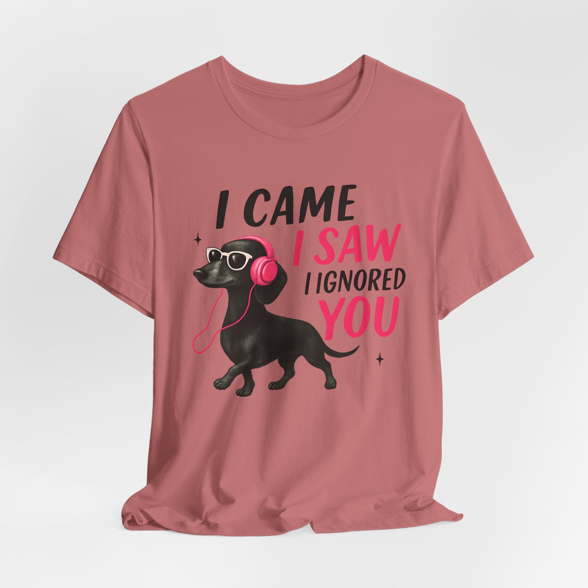 Cool Dog Lover Tee - I Came, I Saw, I Ignored You | Funny Pet Shirt, Gift for Dog Owners, Casual Wear, Birthday Gift, Animal Lover Apparel