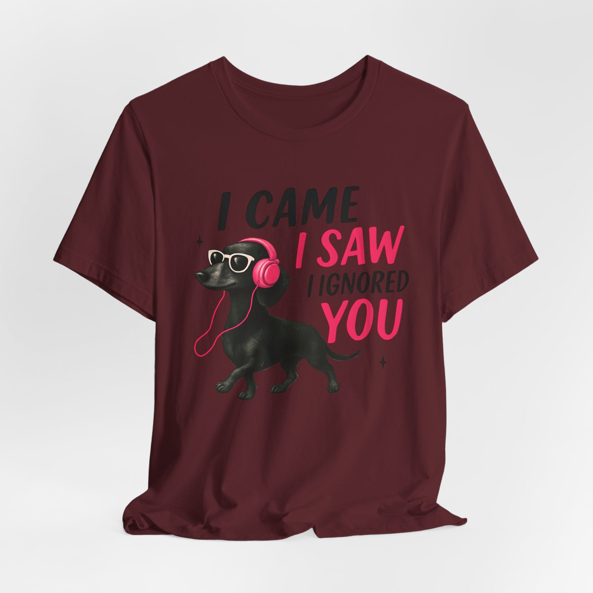 Cool Dog Lover Tee - I Came, I Saw, I Ignored You | Funny Pet Shirt, Gift for Dog Owners, Casual Wear, Birthday Gift, Animal Lover Apparel