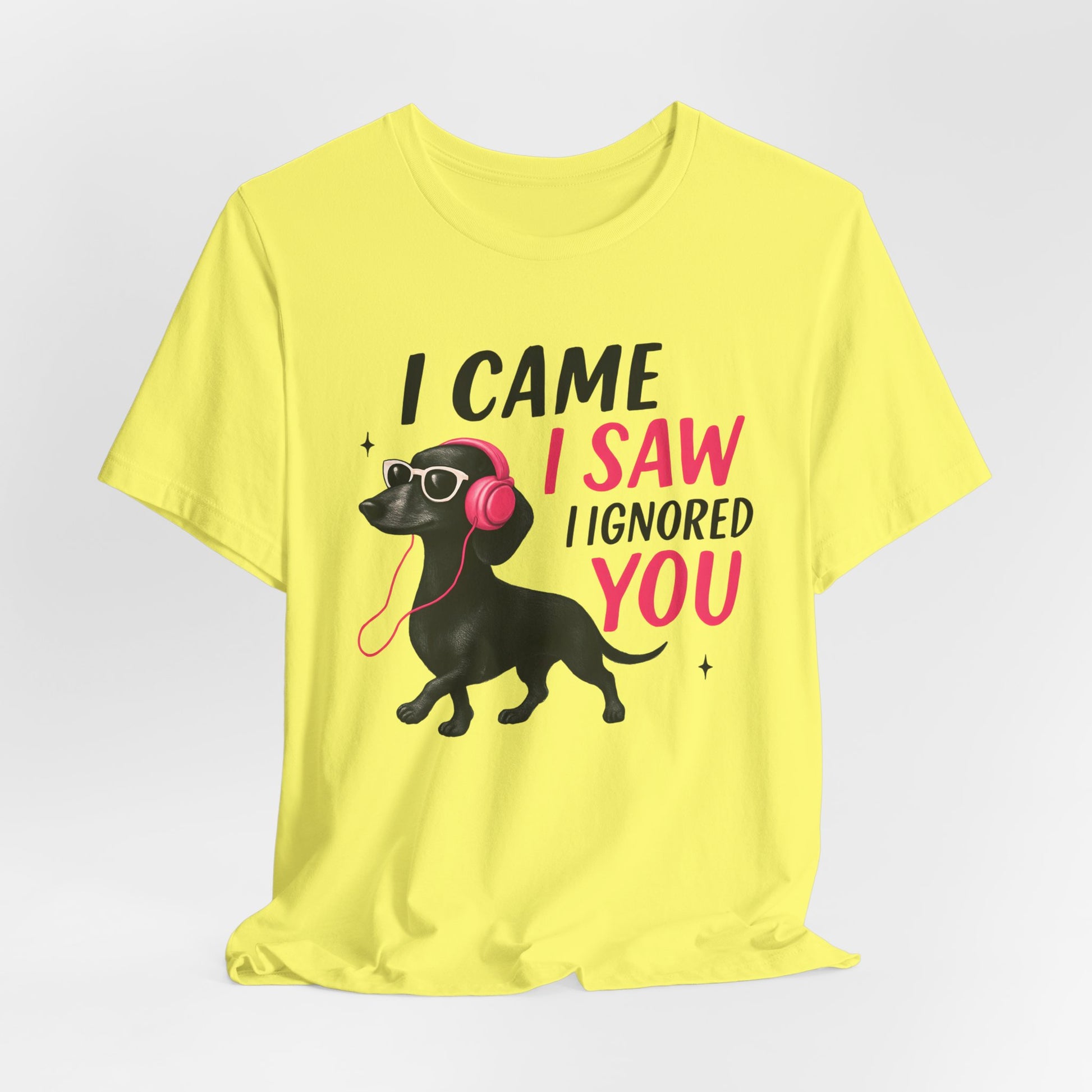 Cool Dog Lover Tee - I Came, I Saw, I Ignored You | Funny Pet Shirt, Gift for Dog Owners, Casual Wear, Birthday Gift, Animal Lover Apparel