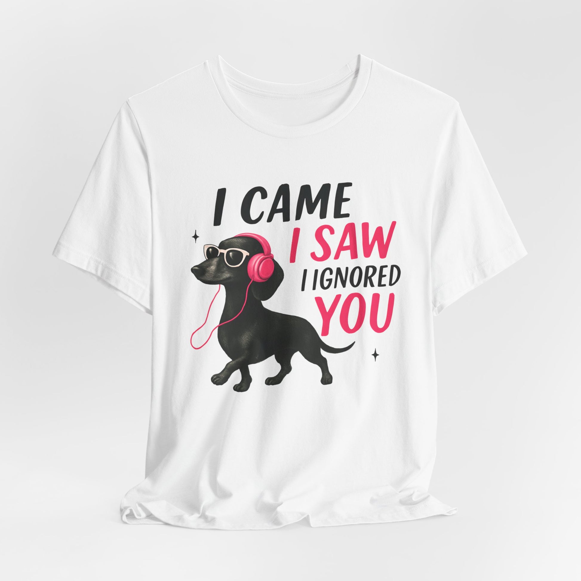 Cool Dog Lover Tee - I Came, I Saw, I Ignored You | Funny Pet Shirt, Gift for Dog Owners, Casual Wear, Birthday Gift, Animal Lover Apparel