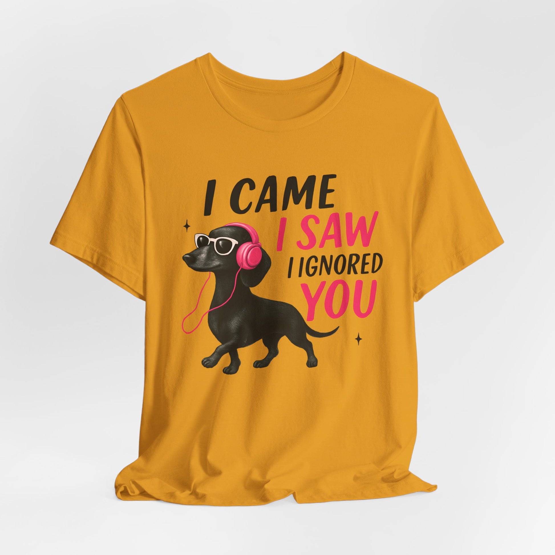 Cool Dog Lover Tee - I Came, I Saw, I Ignored You | Funny Pet Shirt, Gift for Dog Owners, Casual Wear, Birthday Gift, Animal Lover Apparel
