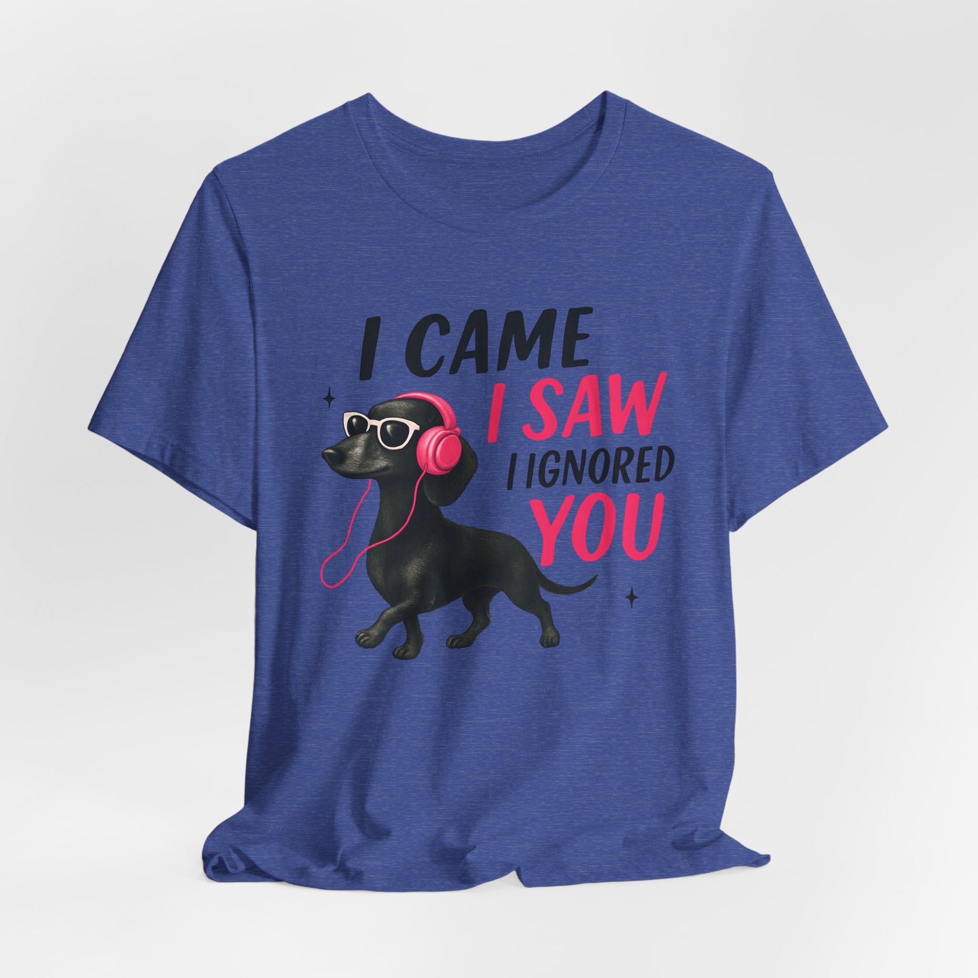 Cool Dog Lover Tee - I Came, I Saw, I Ignored You | Funny Pet Shirt, Gift for Dog Owners, Casual Wear, Birthday Gift, Animal Lover Apparel
