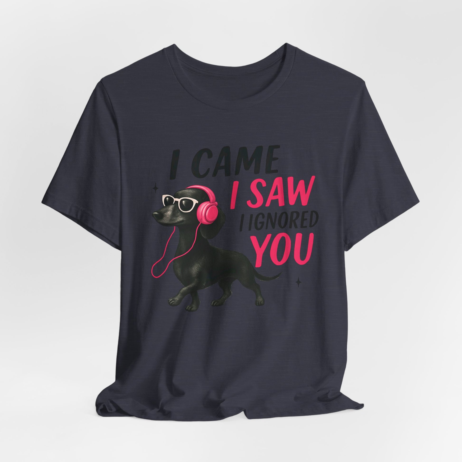 Cool Dog Lover Tee - I Came, I Saw, I Ignored You | Funny Pet Shirt, Gift for Dog Owners, Casual Wear, Birthday Gift, Animal Lover Apparel