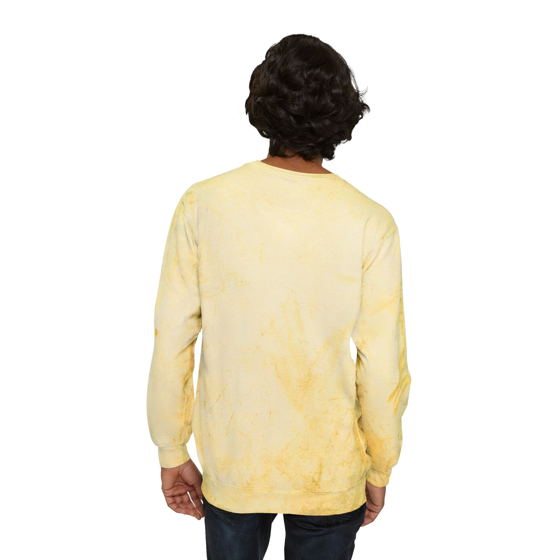 Visionary Custom Z Color Blast Sweatshirt, Unisex Sweatshirt, Comfort Colors