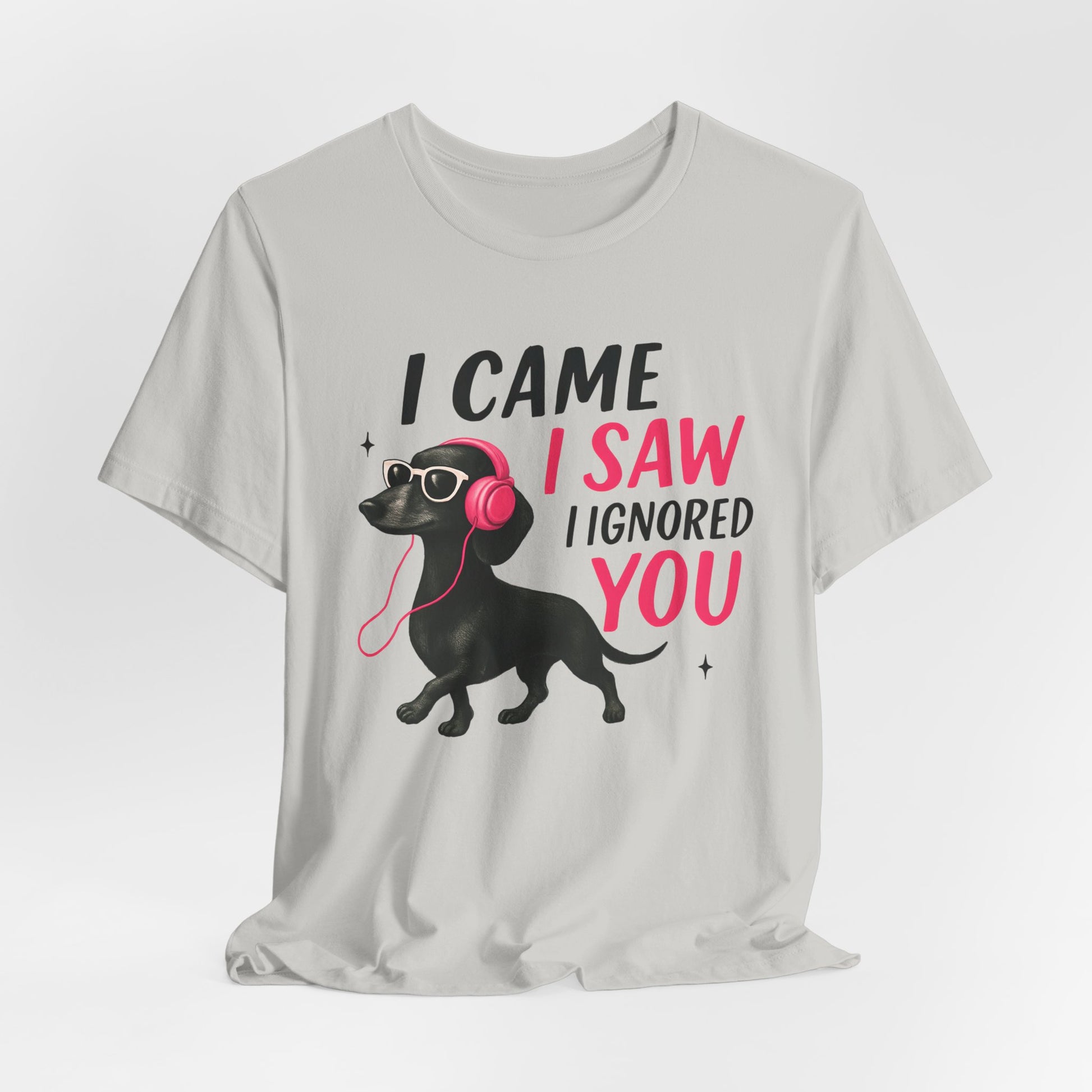Cool Dog Lover Tee - I Came, I Saw, I Ignored You | Funny Pet Shirt, Gift for Dog Owners, Casual Wear, Birthday Gift, Animal Lover Apparel