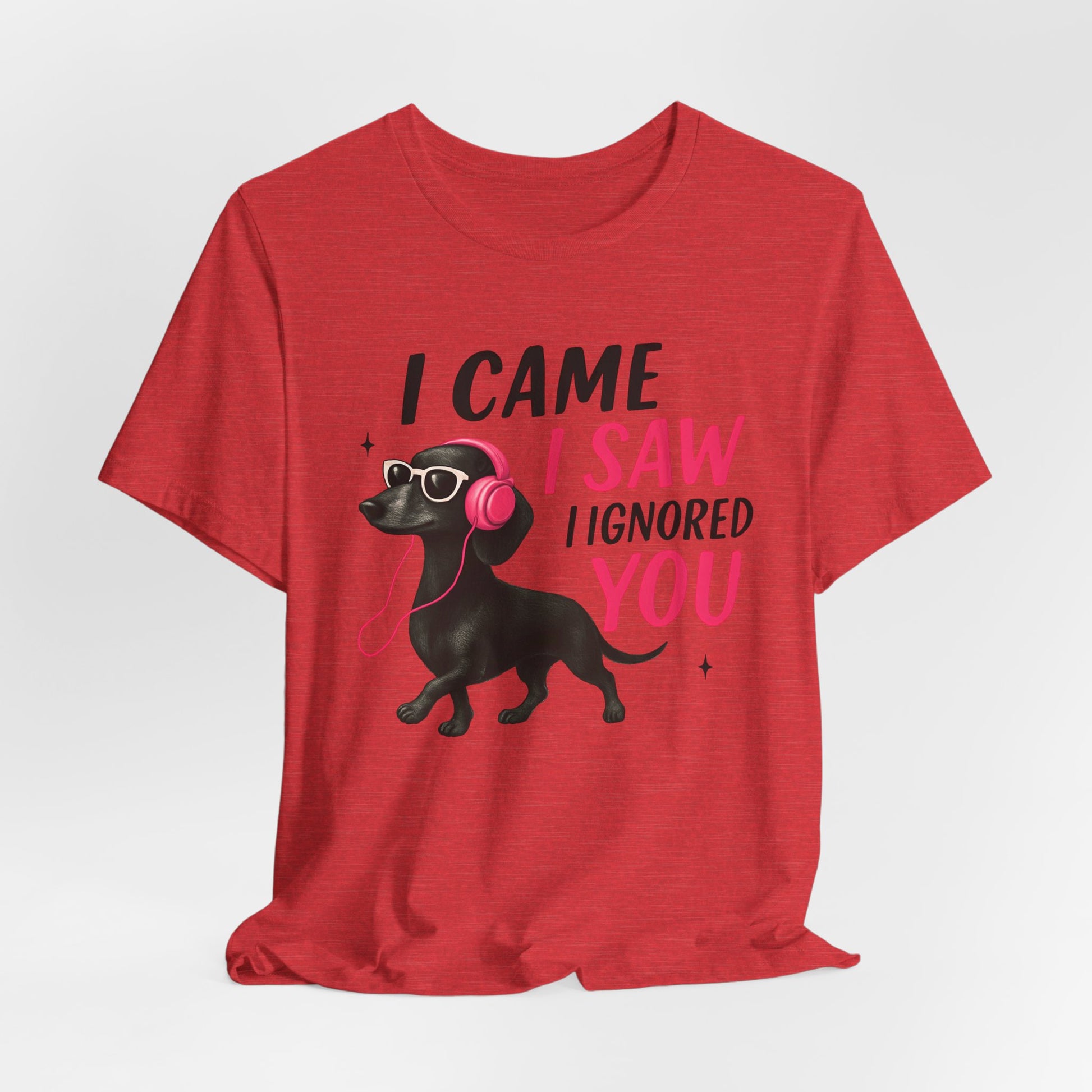 Cool Dog Lover Tee - I Came, I Saw, I Ignored You | Funny Pet Shirt, Gift for Dog Owners, Casual Wear, Birthday Gift, Animal Lover Apparel