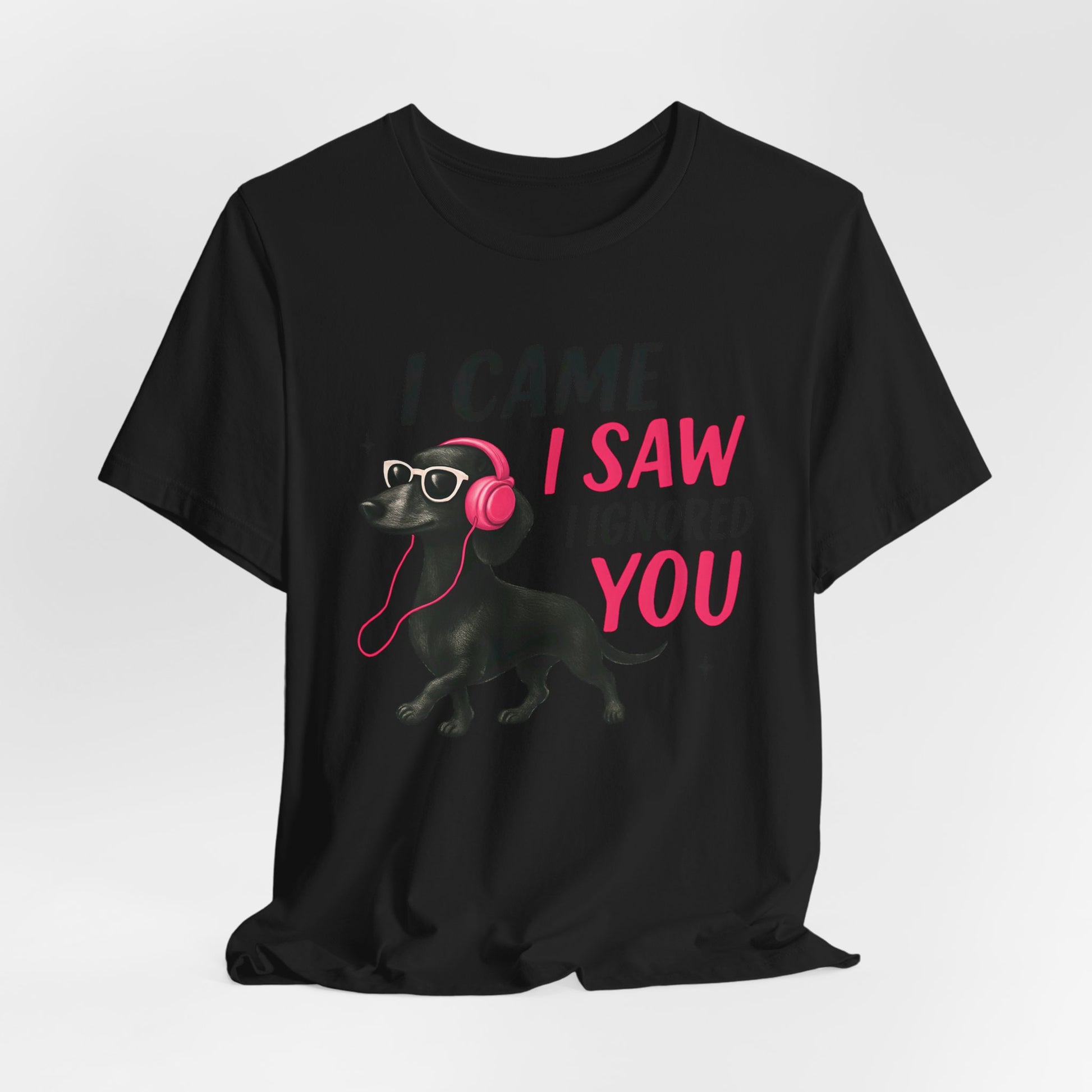 Cool Dog Lover Tee - I Came, I Saw, I Ignored You | Funny Pet Shirt, Gift for Dog Owners, Casual Wear, Birthday Gift, Animal Lover Apparel