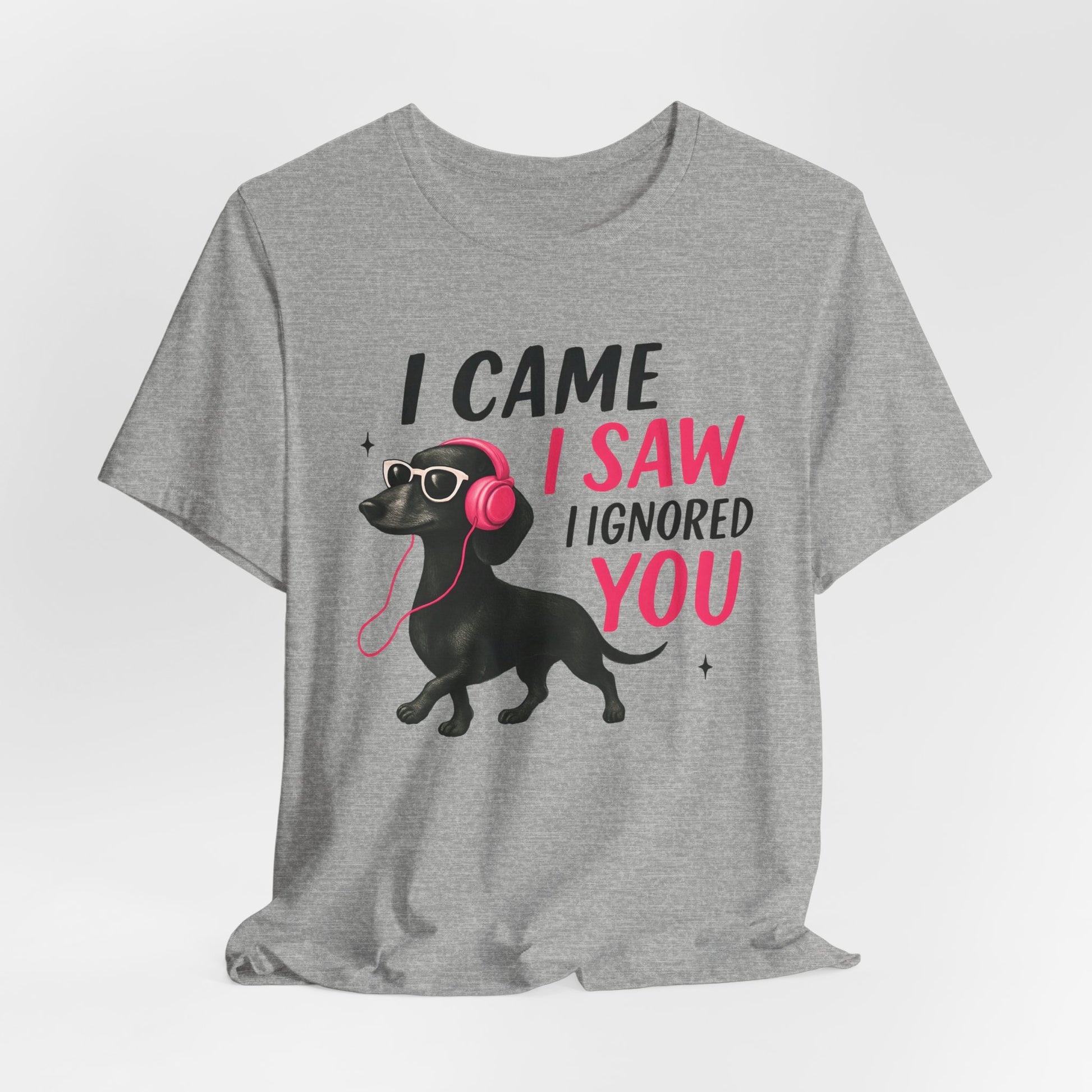 Cool Dog Lover Tee - I Came, I Saw, I Ignored You | Funny Pet Shirt, Gift for Dog Owners, Casual Wear, Birthday Gift, Animal Lover Apparel