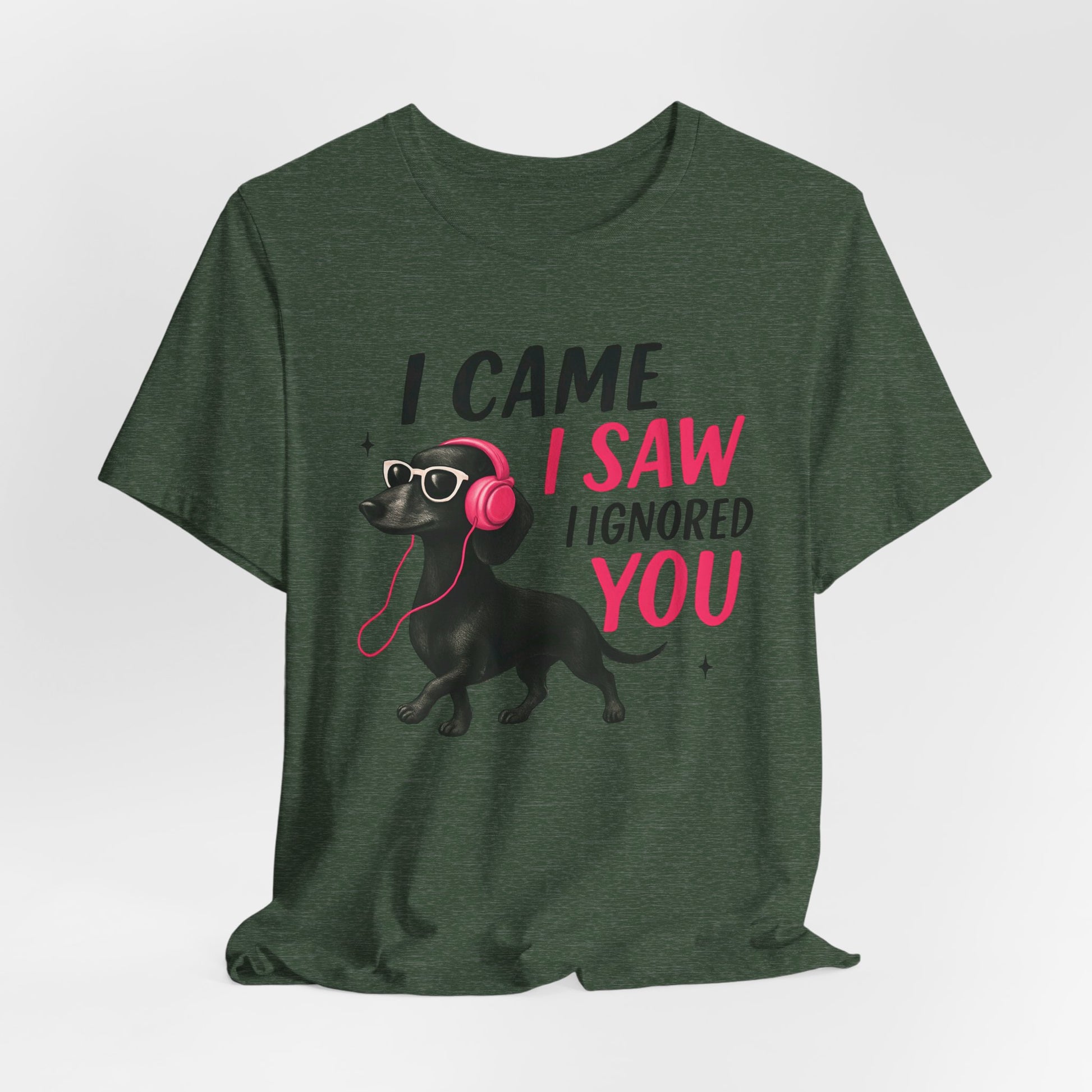 Cool Dog Lover Tee - I Came, I Saw, I Ignored You | Funny Pet Shirt, Gift for Dog Owners, Casual Wear, Birthday Gift, Animal Lover Apparel