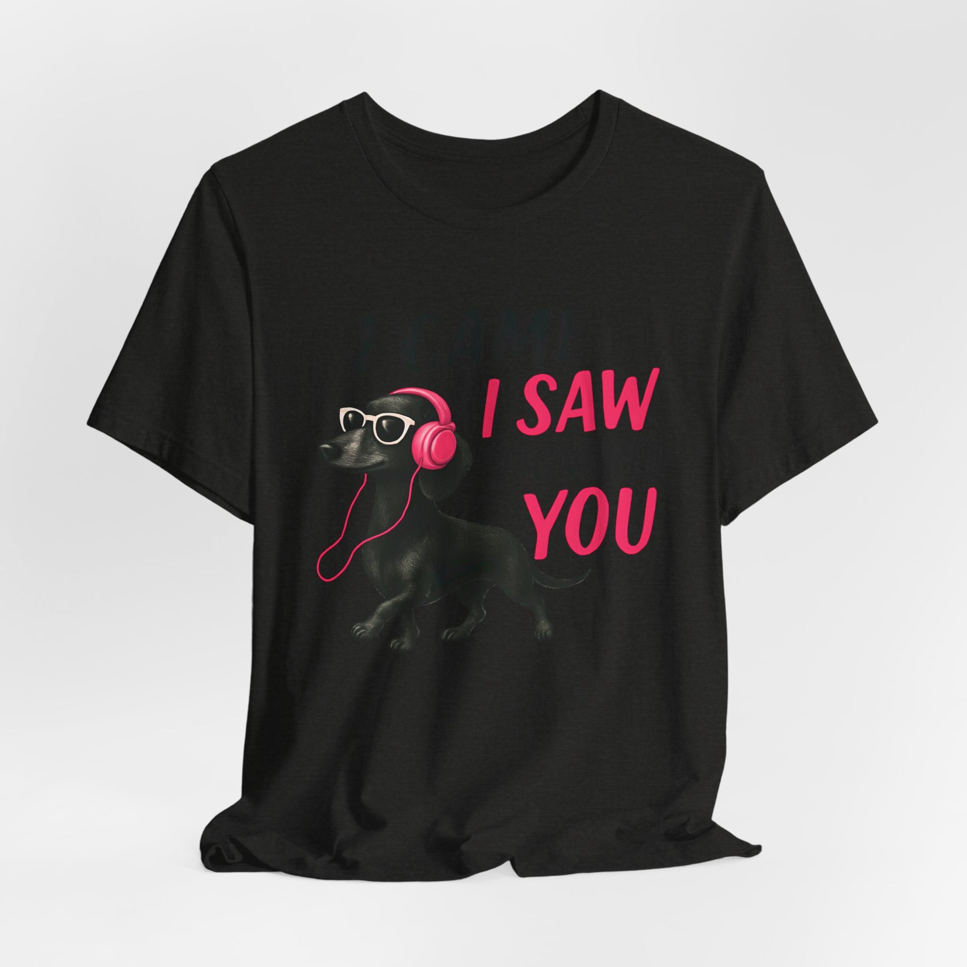 Cool Dog Lover Tee - I Came, I Saw, I Ignored You | Funny Pet Shirt, Gift for Dog Owners, Casual Wear, Birthday Gift, Animal Lover Apparel