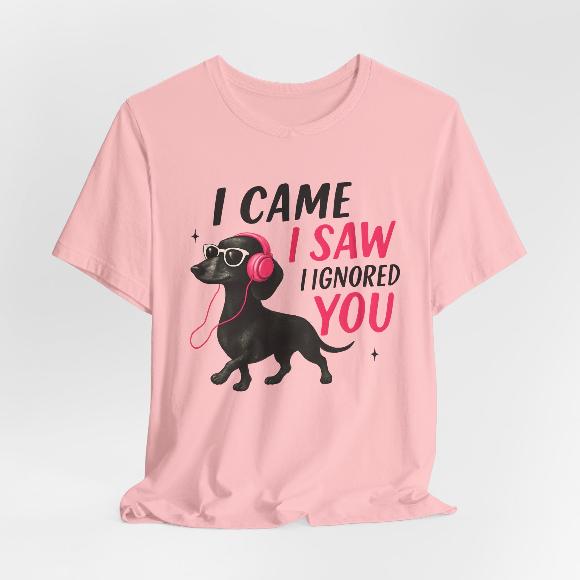 Cool Dog Lover Tee - I Came, I Saw, I Ignored You | Funny Pet Shirt, Gift for Dog Owners, Casual Wear, Birthday Gift, Animal Lover Apparel
