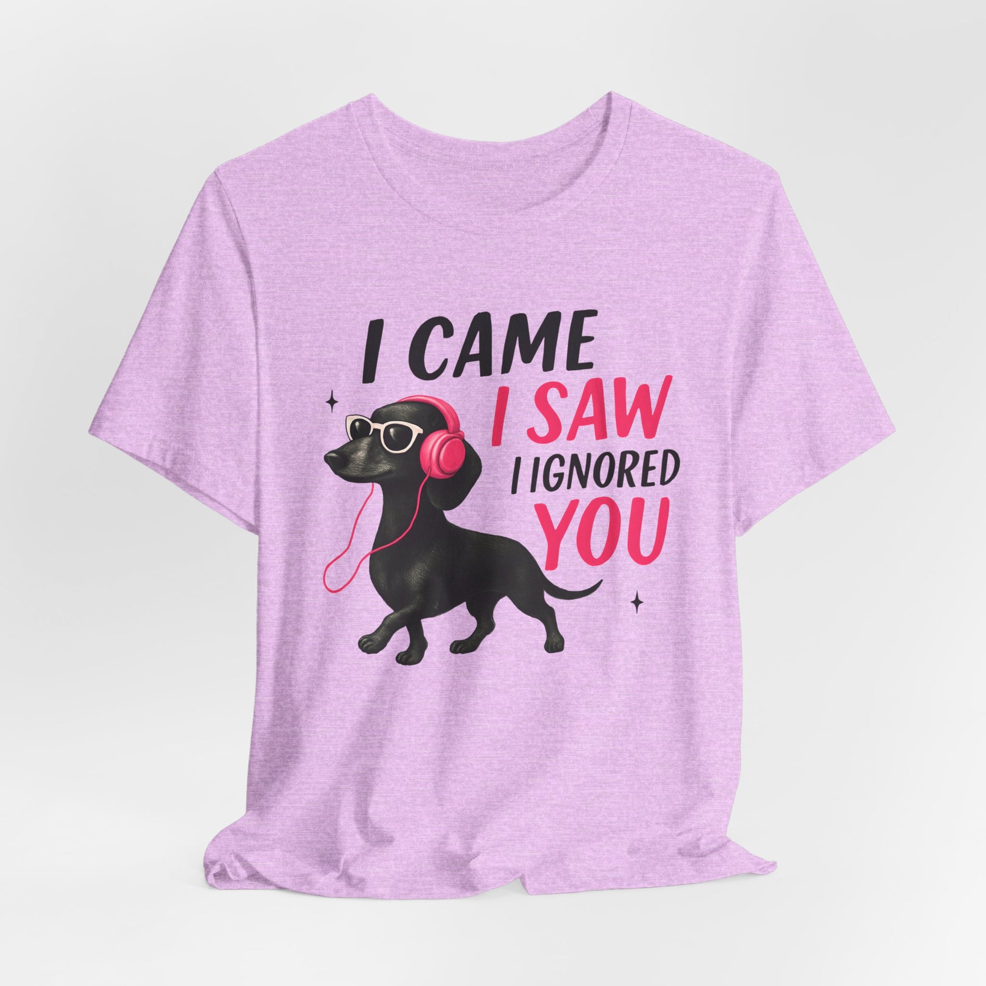 Cool Dog Lover Tee - I Came, I Saw, I Ignored You | Funny Pet Shirt, Gift for Dog Owners, Casual Wear, Birthday Gift, Animal Lover Apparel