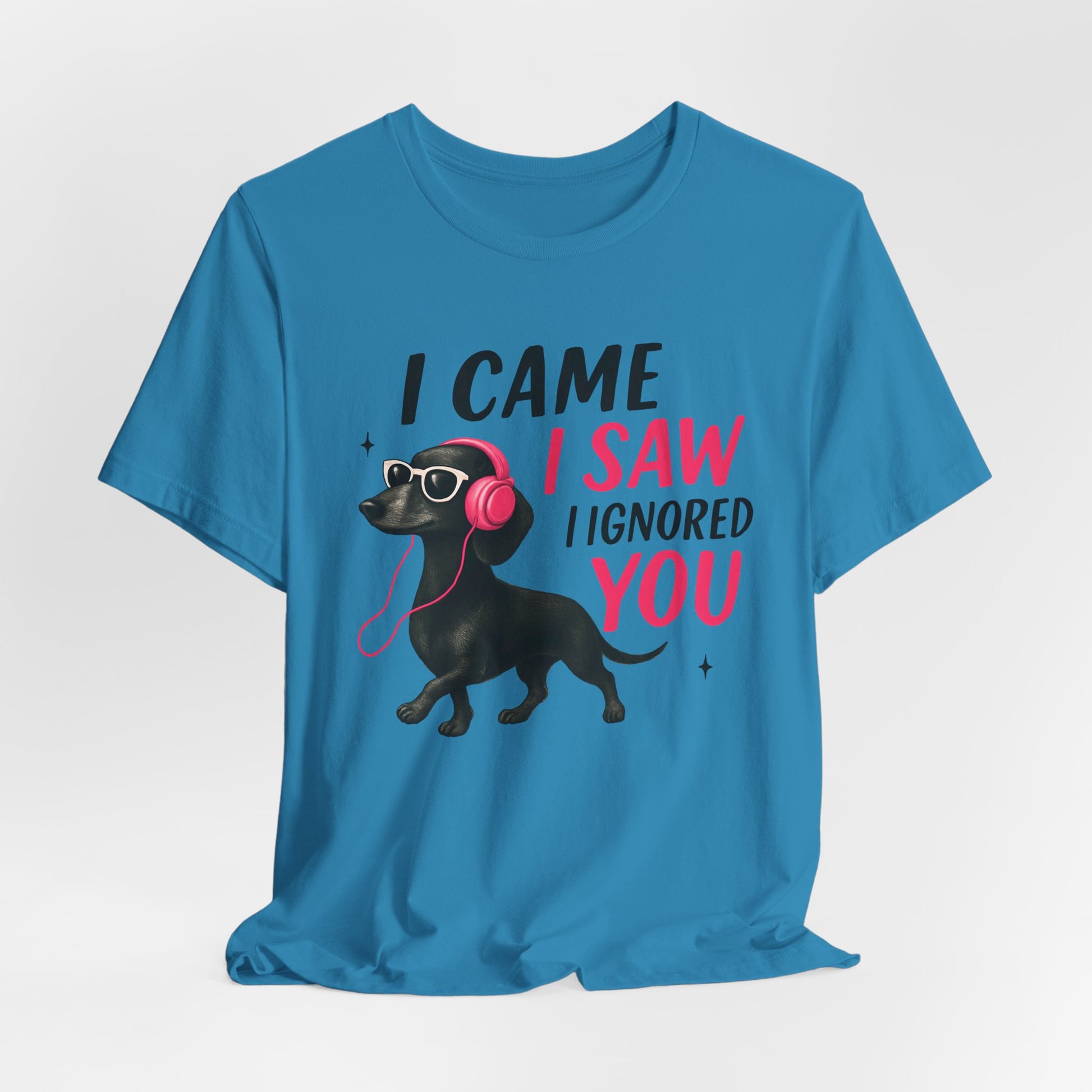 Cool Dog Lover Tee - I Came, I Saw, I Ignored You | Funny Pet Shirt, Gift for Dog Owners, Casual Wear, Birthday Gift, Animal Lover Apparel