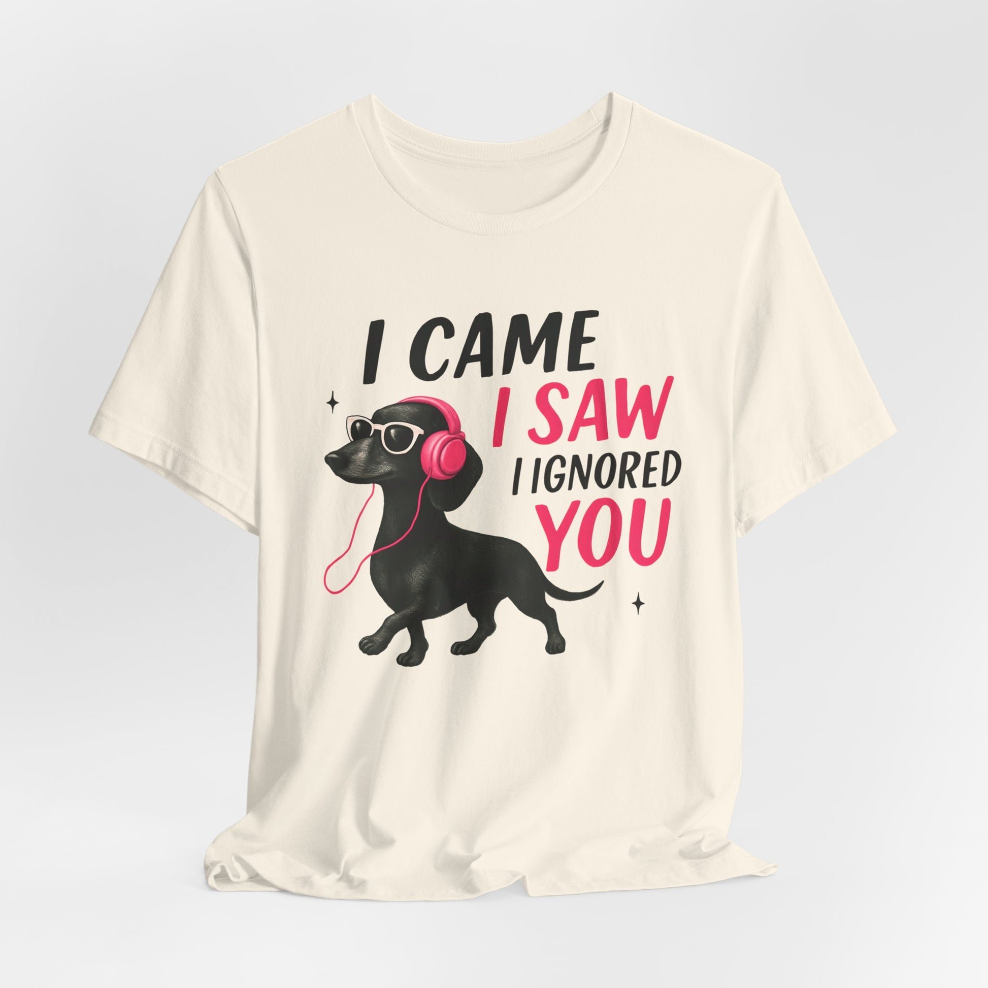 Cool Dog Lover Tee - I Came, I Saw, I Ignored You | Funny Pet Shirt, Gift for Dog Owners, Casual Wear, Birthday Gift, Animal Lover Apparel