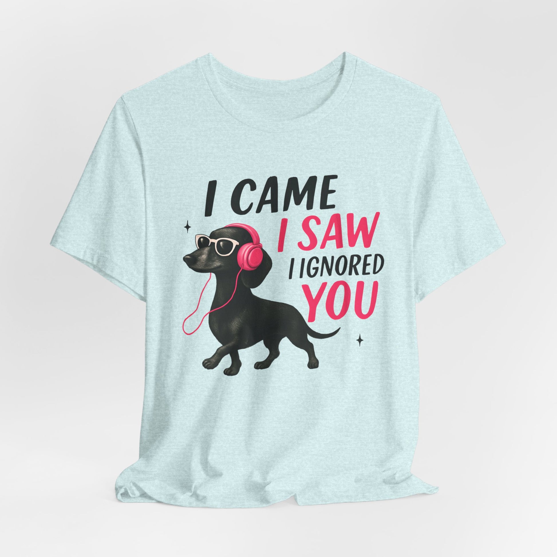 Cool Dog Lover Tee - I Came, I Saw, I Ignored You | Funny Pet Shirt, Gift for Dog Owners, Casual Wear, Birthday Gift, Animal Lover Apparel