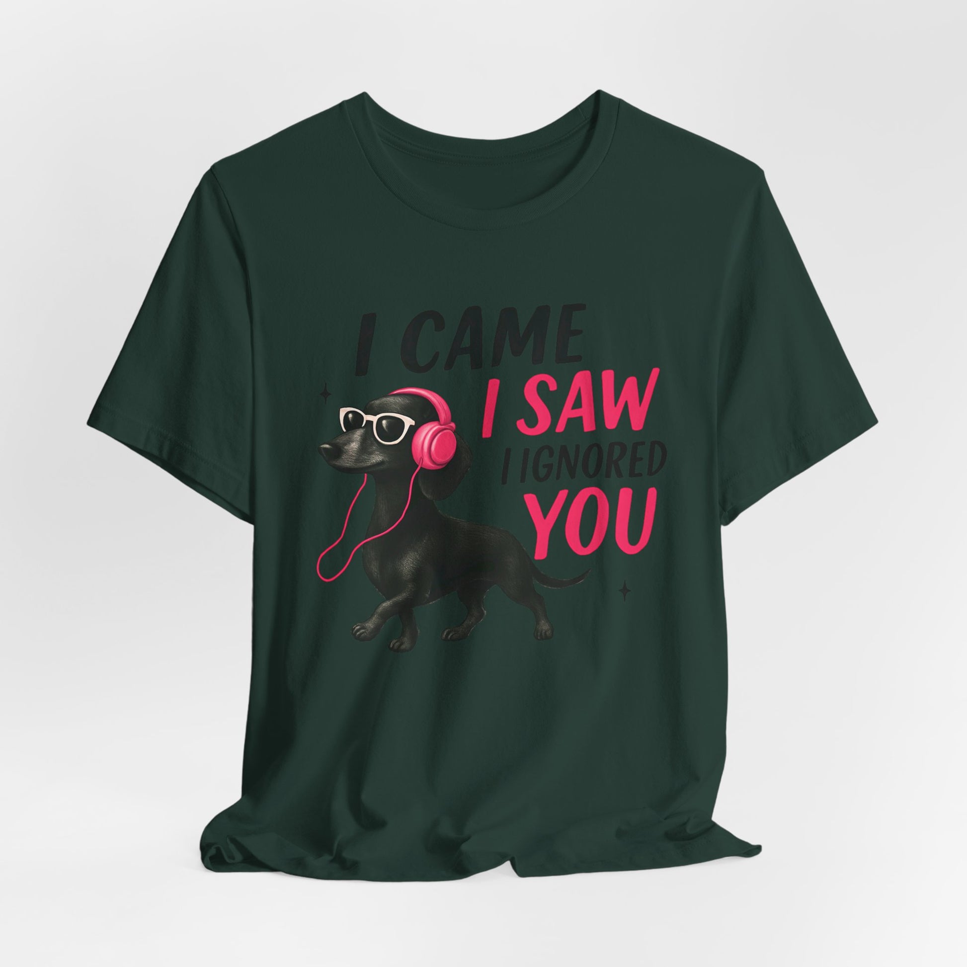 Cool Dog Lover Tee - I Came, I Saw, I Ignored You | Funny Pet Shirt, Gift for Dog Owners, Casual Wear, Birthday Gift, Animal Lover Apparel