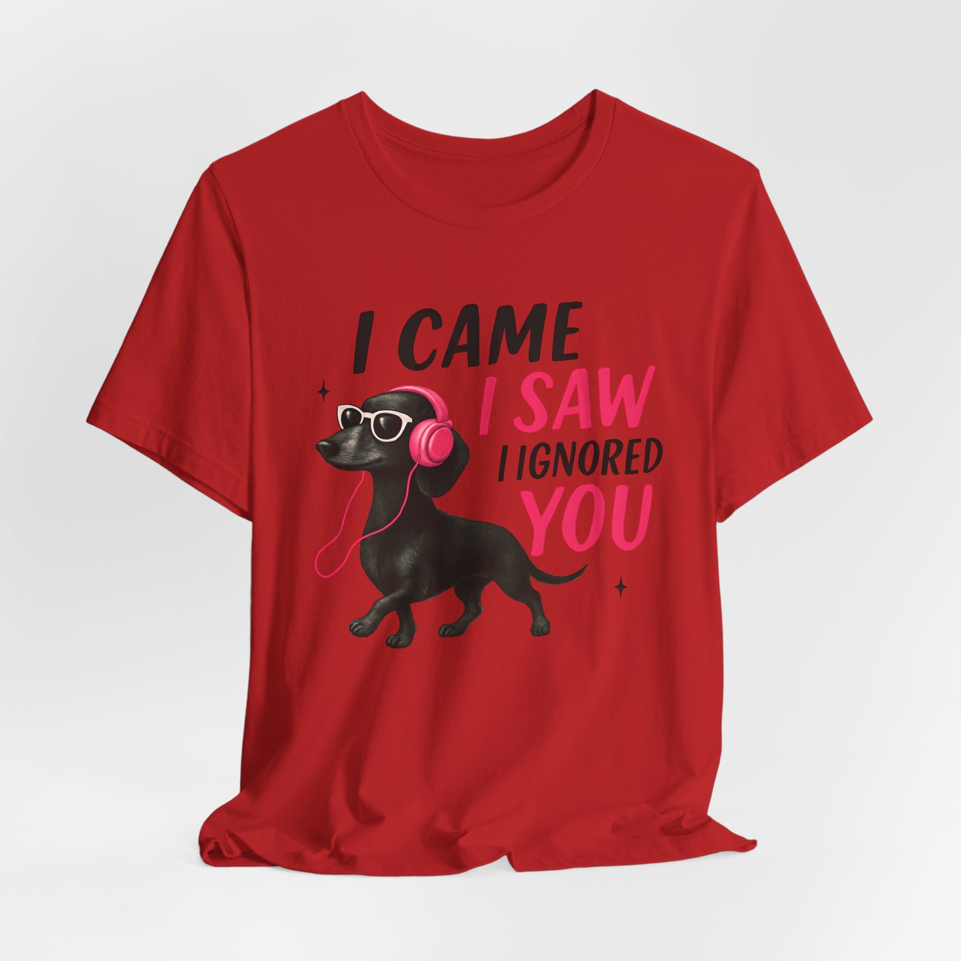 Cool Dog Lover Tee - I Came, I Saw, I Ignored You | Funny Pet Shirt, Gift for Dog Owners, Casual Wear, Birthday Gift, Animal Lover Apparel
