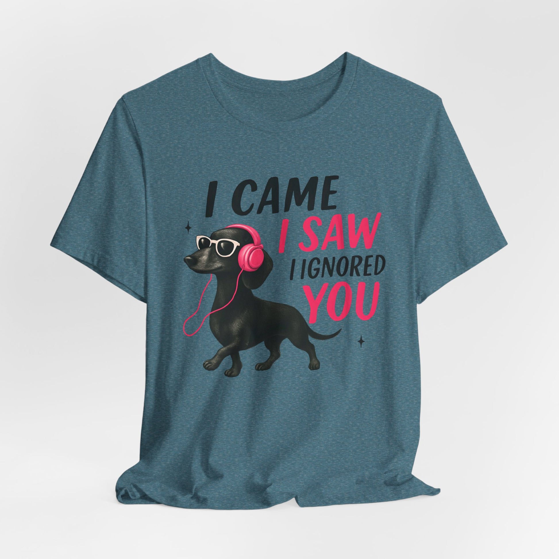 Cool Dog Lover Tee - I Came, I Saw, I Ignored You | Funny Pet Shirt, Gift for Dog Owners, Casual Wear, Birthday Gift, Animal Lover Apparel
