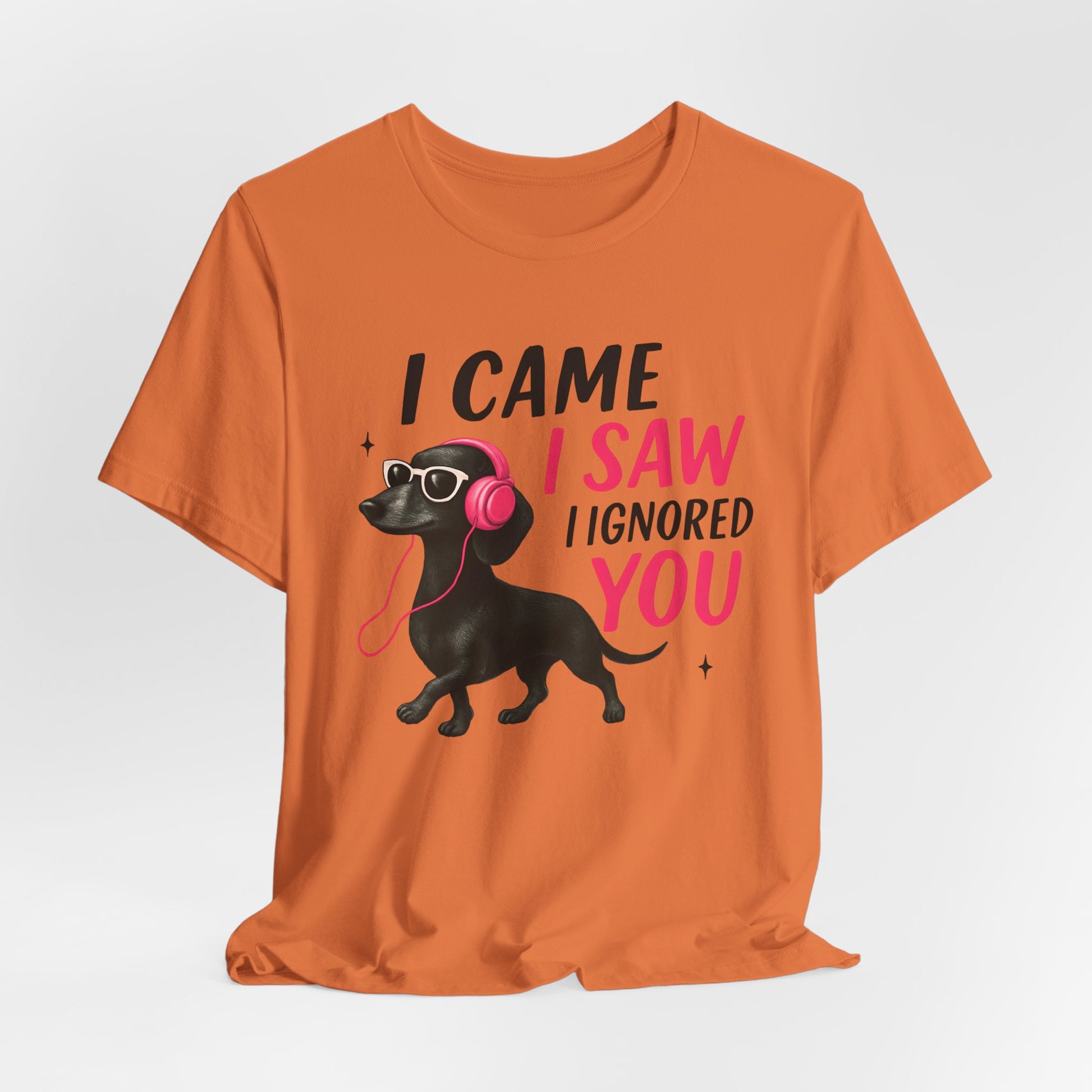Cool Dog Lover Tee - I Came, I Saw, I Ignored You | Funny Pet Shirt, Gift for Dog Owners, Casual Wear, Birthday Gift, Animal Lover Apparel