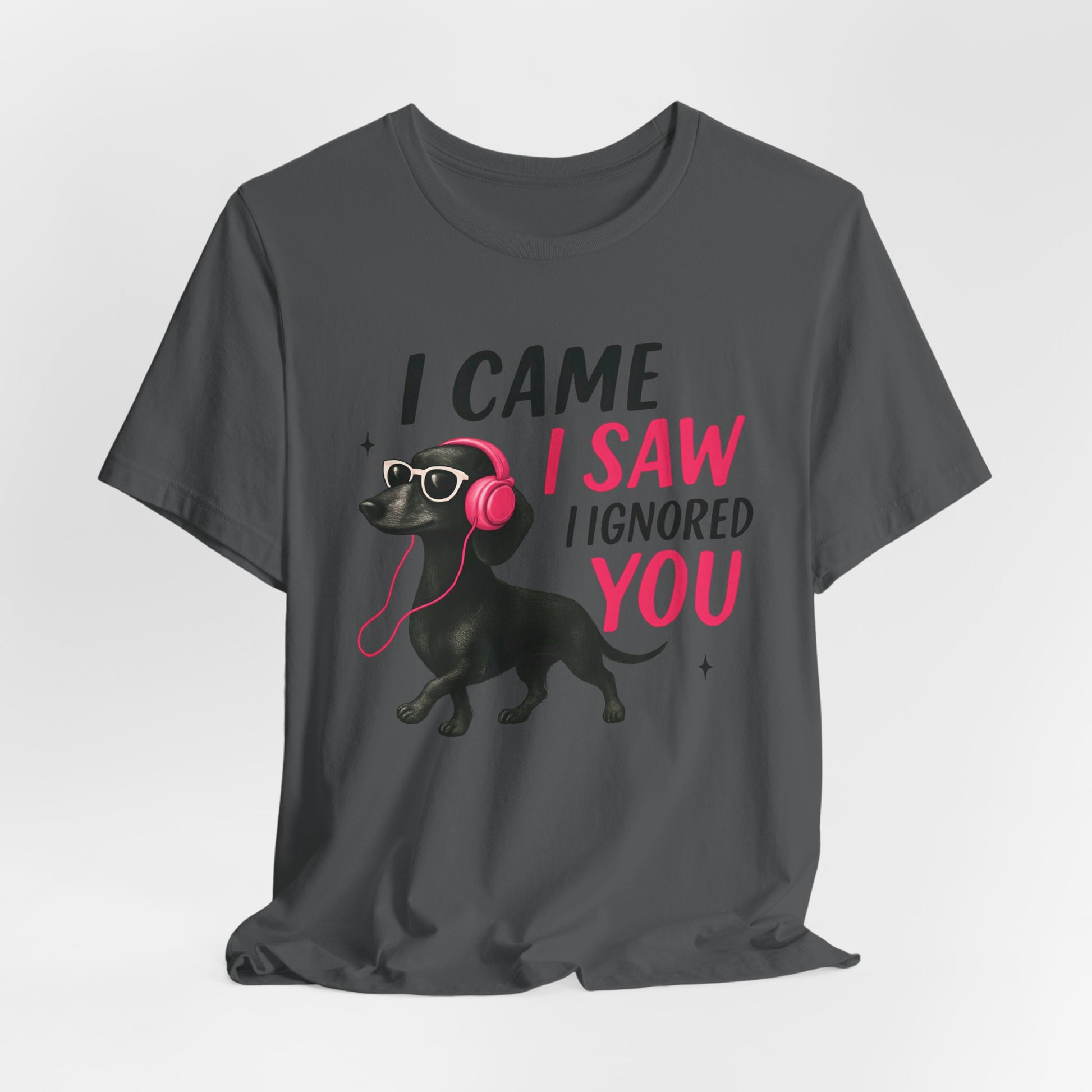 Cool Dog Lover Tee - I Came, I Saw, I Ignored You | Funny Pet Shirt, Gift for Dog Owners, Casual Wear, Birthday Gift, Animal Lover Apparel